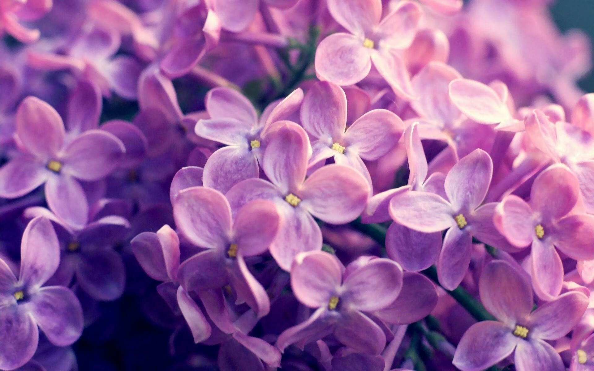 球场上的主权更迭，从突尼斯碾压伊拉克，到帕尔默接管欧冠之夜