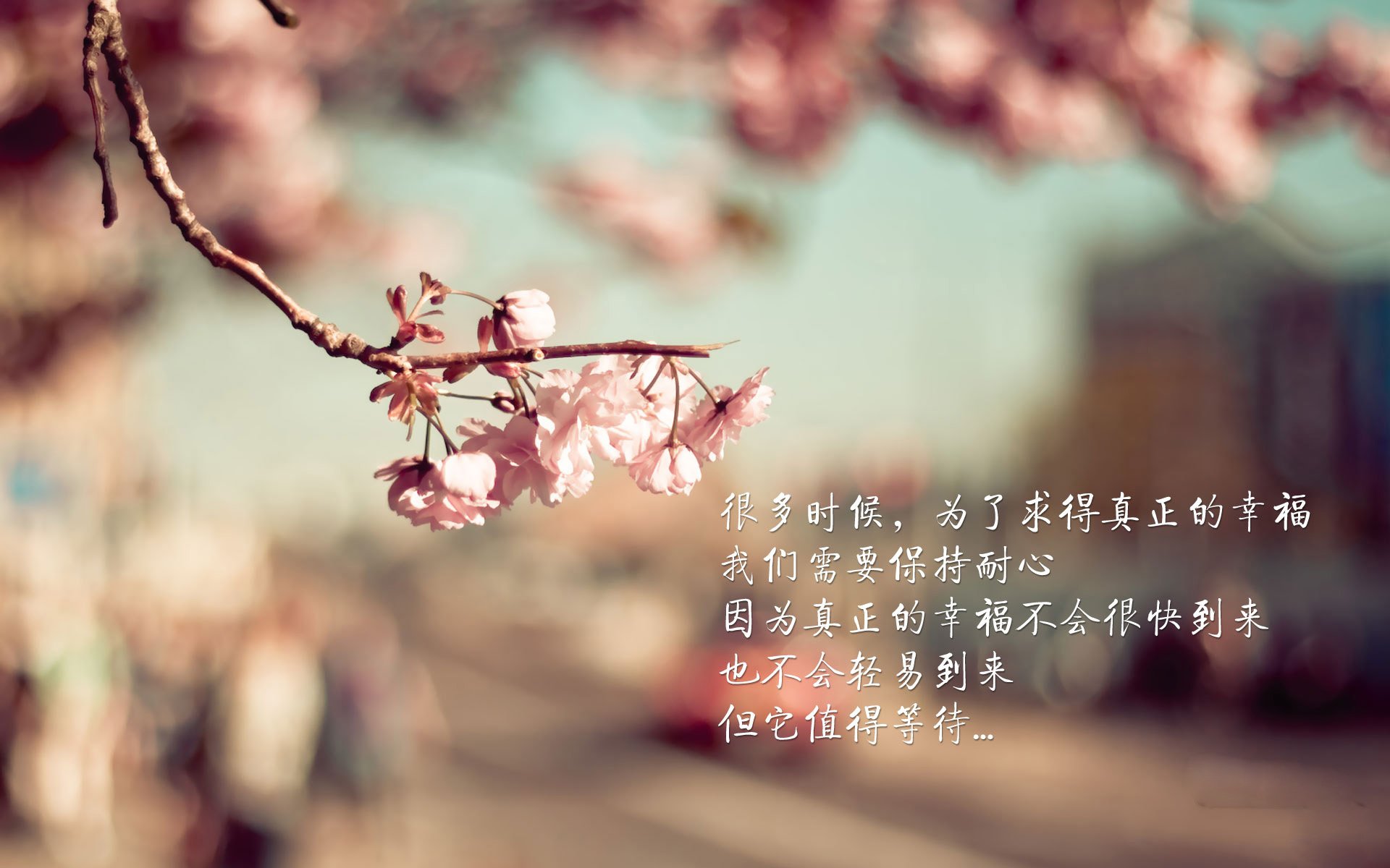 他不是乔丹，只是穿越了纽约每一道裂缝的镜像